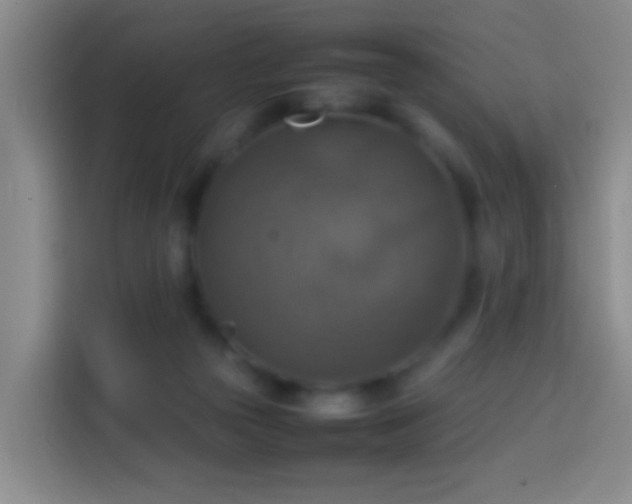 X0000113780169200909301157