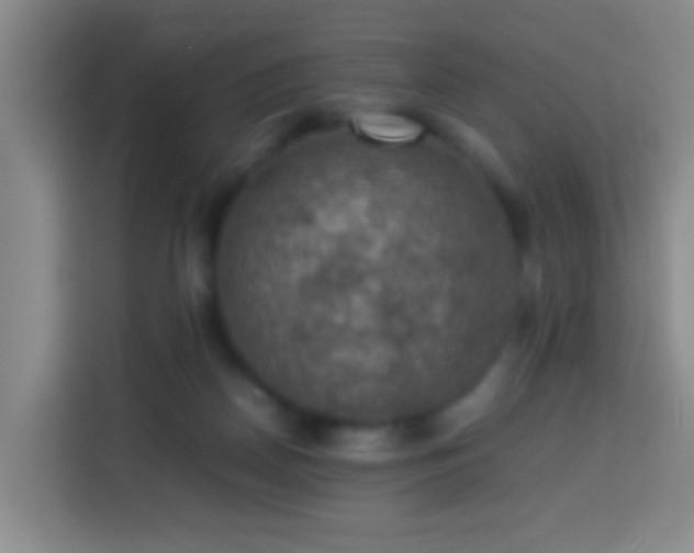 X0000113780170200909301157