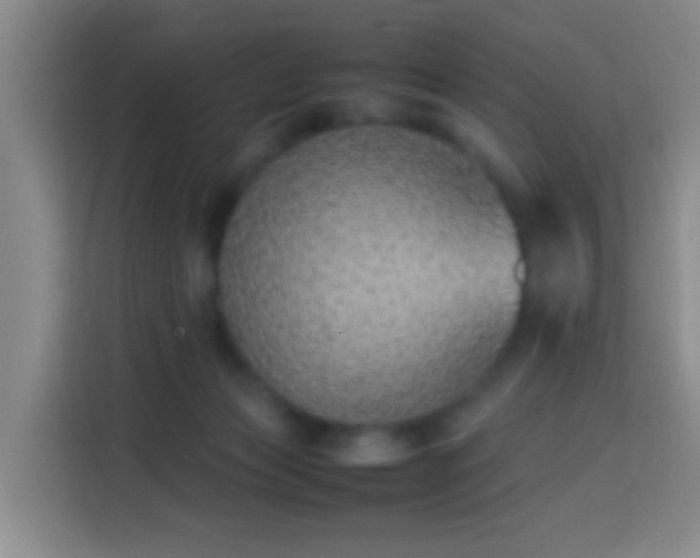 X0000113780173200909301157