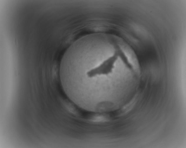 X0000113780175200909301157