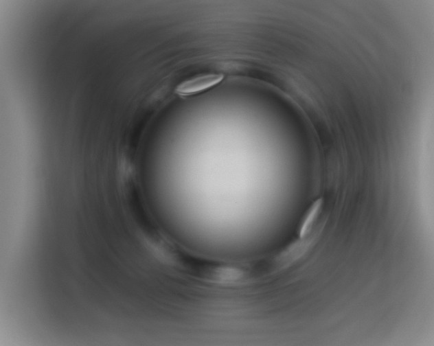 X0000113780176200909301157