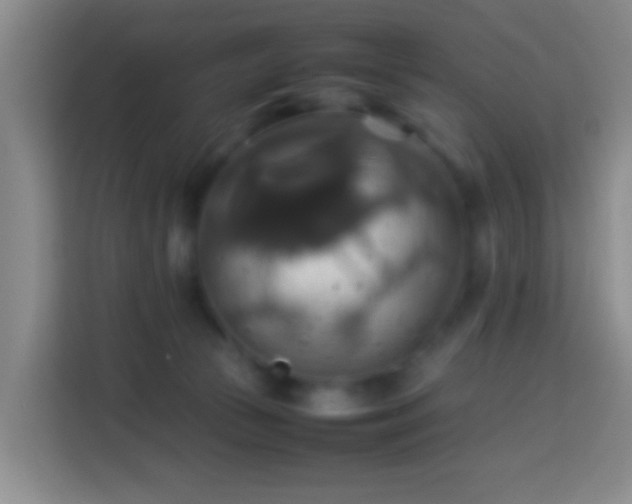 X0000113780177200909301157