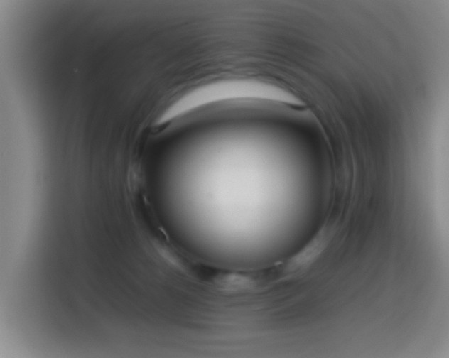 X0000113780180200909301157