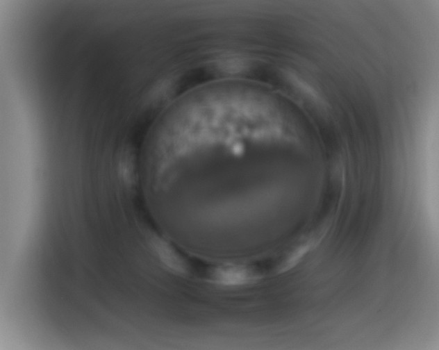 X0000113780181200909301157