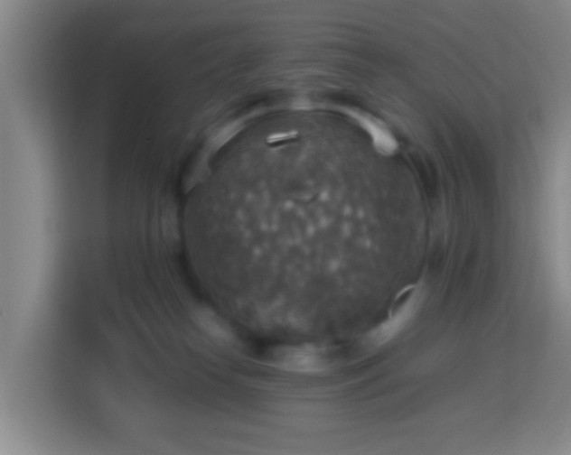 X0000113780182200909301157