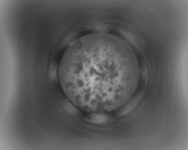 X0000113780185200909301157