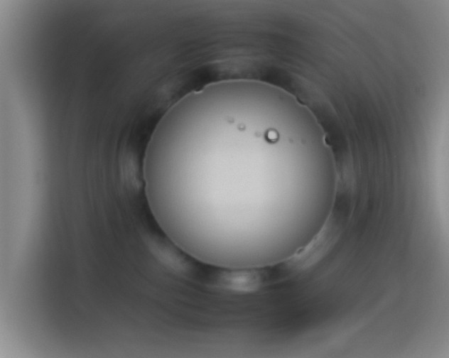 X0000113780187200909301157