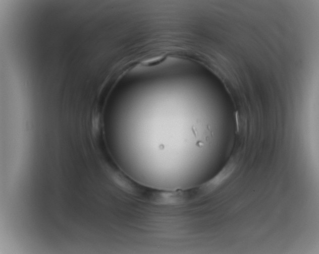 X0000113780188200909301157