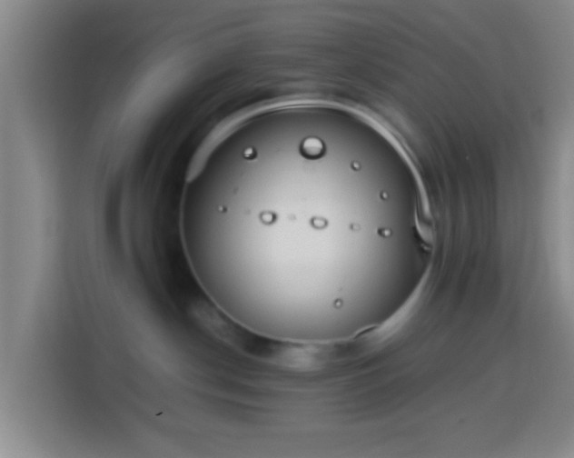 X0000113780190200909301157