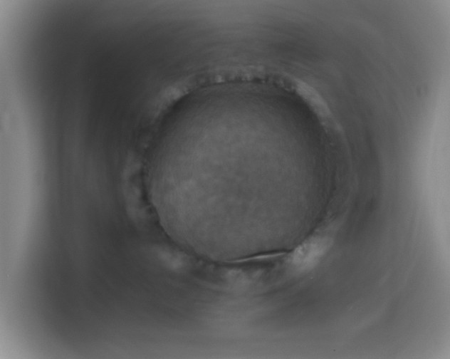 X0000113780192200909301157