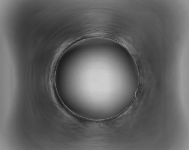 X0000113780193200909301156