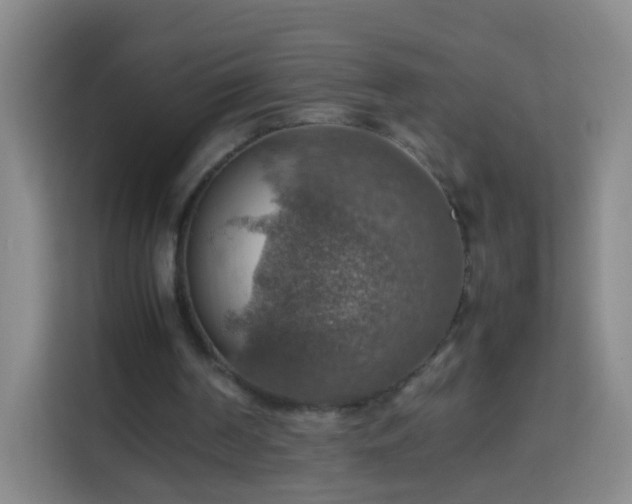 X0000113780194200909301156