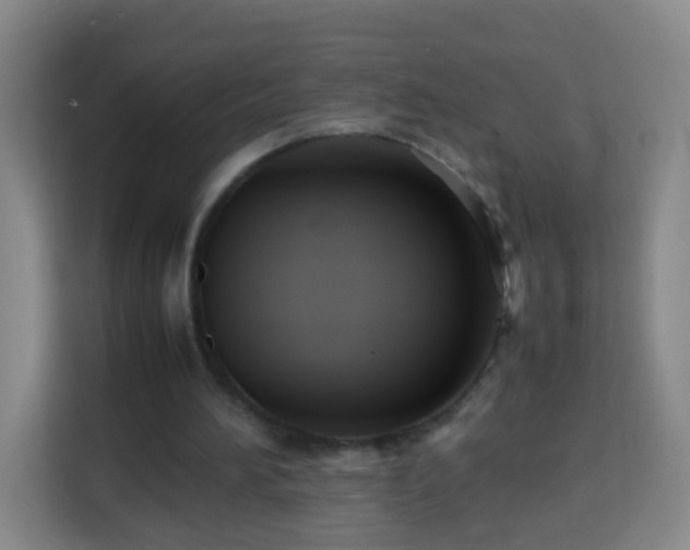 X0000113780196200909301156