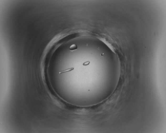 X0000113780197200909301156