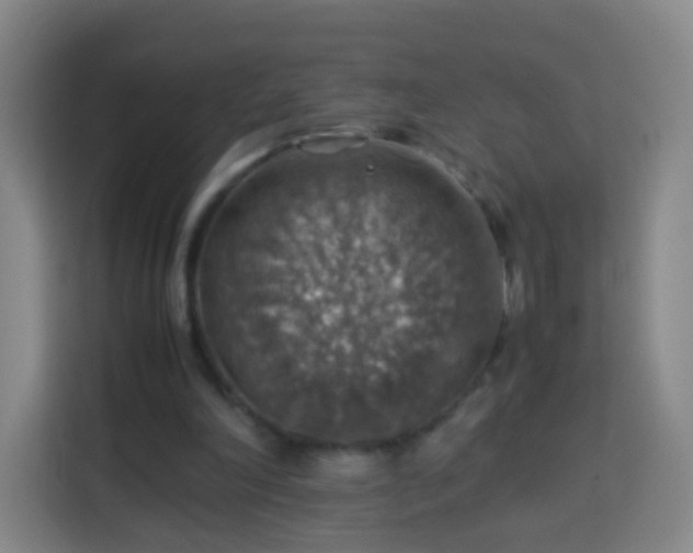 X0000113780198200909301156