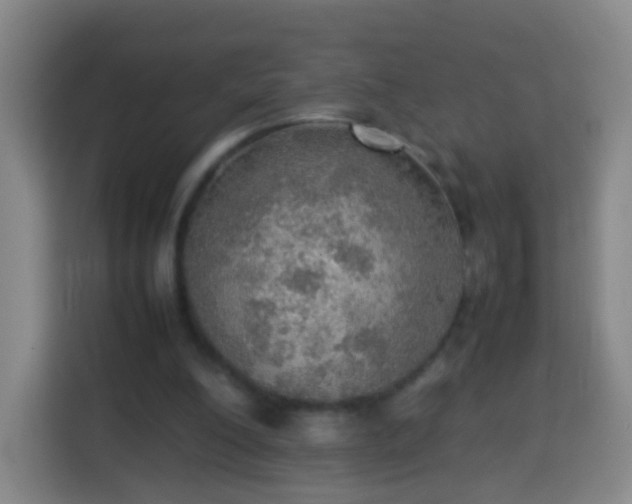 X0000113780200200909301156