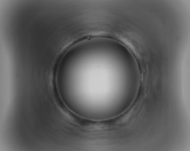 X0000113780201200909301156