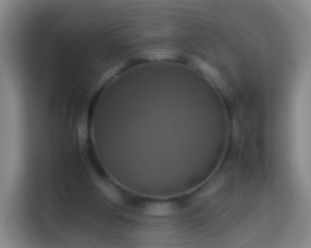 X0000113780202200909301156