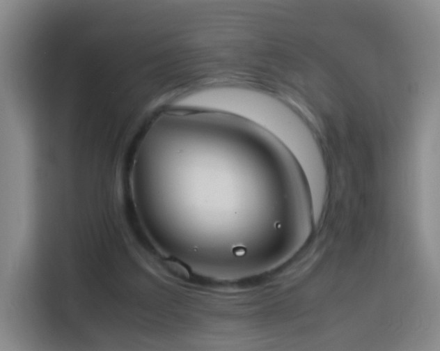 X0000113780203200909301156