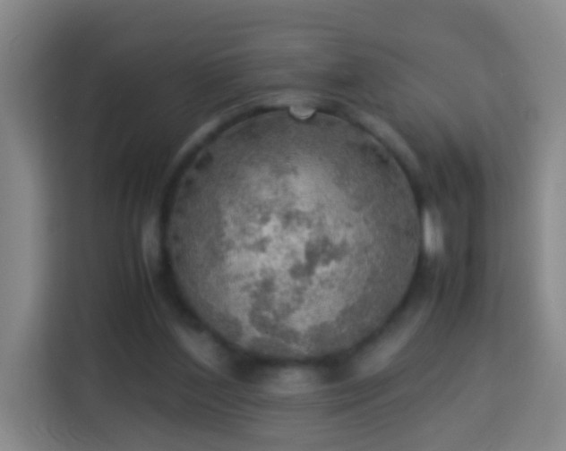 X0000113780204200909301156