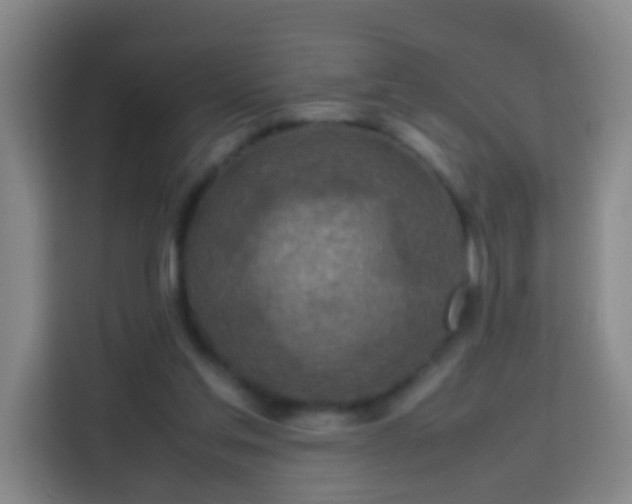 X0000113780205200909301156