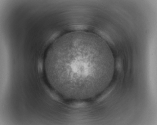 X0000113780206200909301156