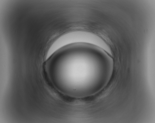 X0000113780207200909301156