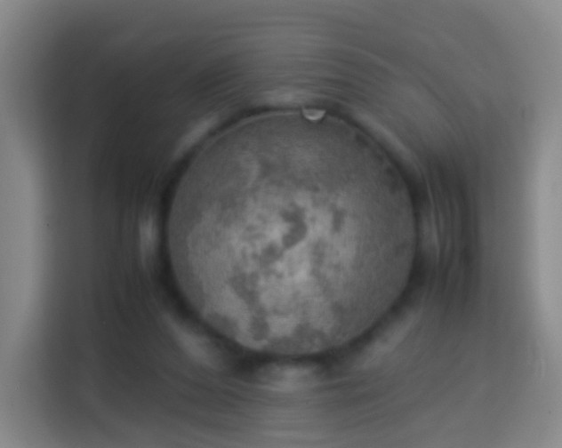 X0000113780208200909301156