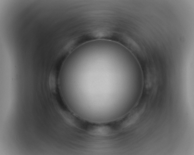 X0000113780210200909301156