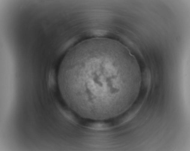 X0000113780212200909301156