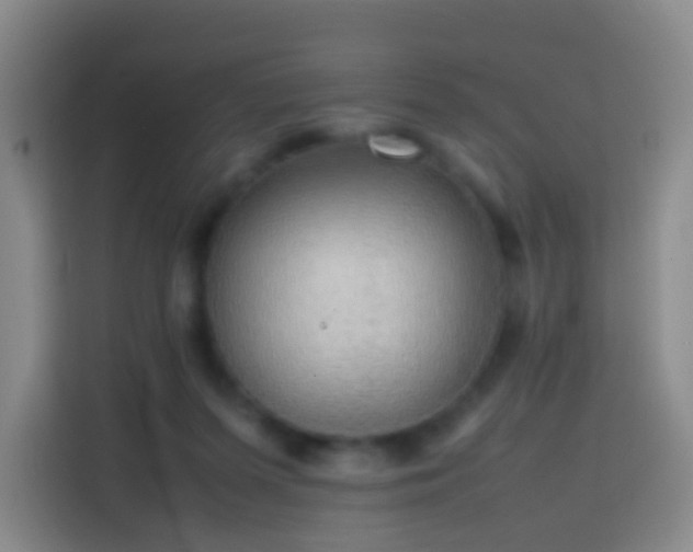 X0000113780215200909301156