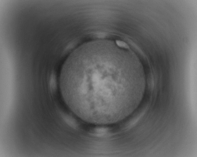 X0000113780216200909301156