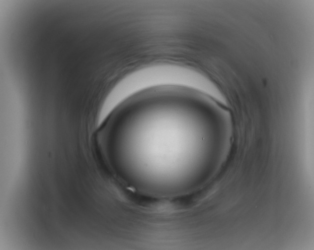 X0000113780219200909301156