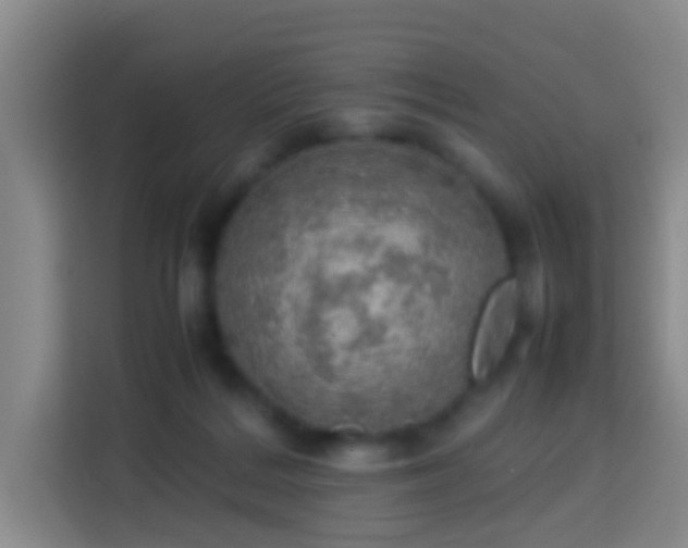 X0000113780220200909301156