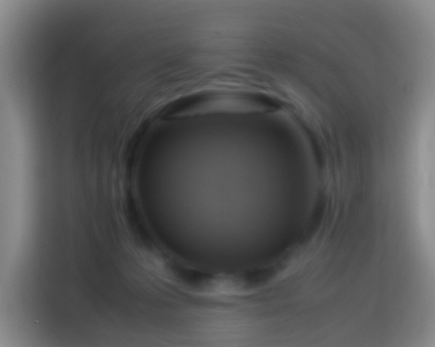 X0000113780223200909301156