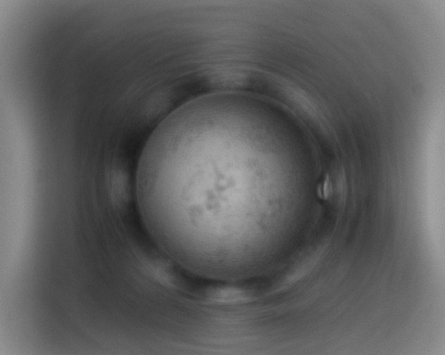 X0000113780224200909301156