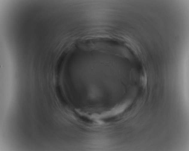 X0000113780227200909301156