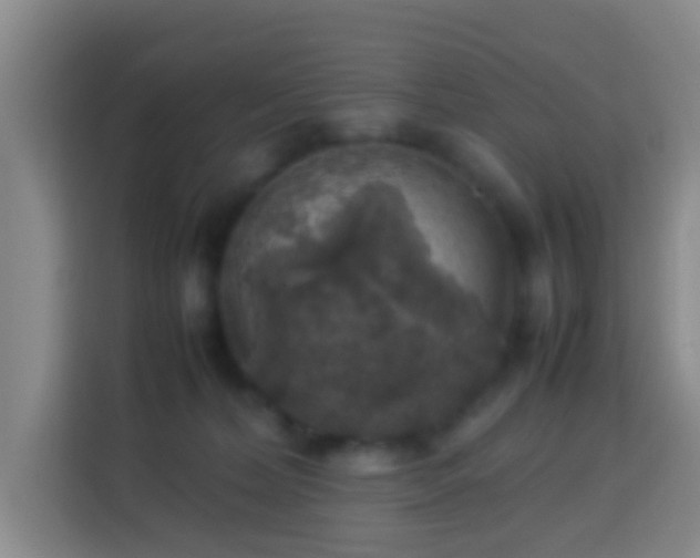 X0000113780228200909301156