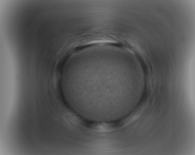 X0000113780229200909301156