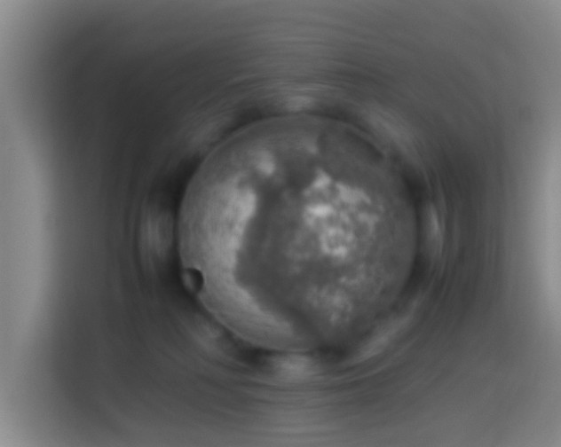 X0000113780230200909301156