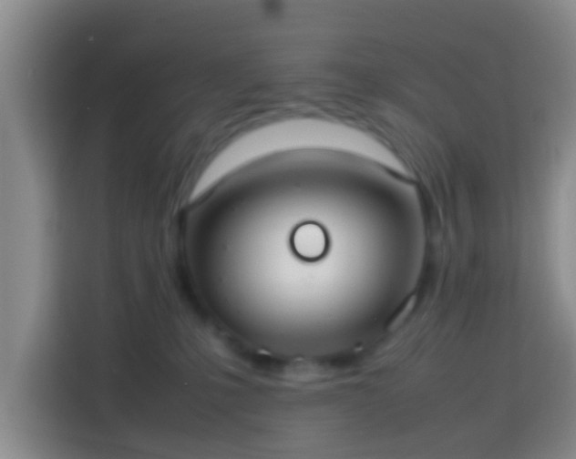 X0000113780231200909301156