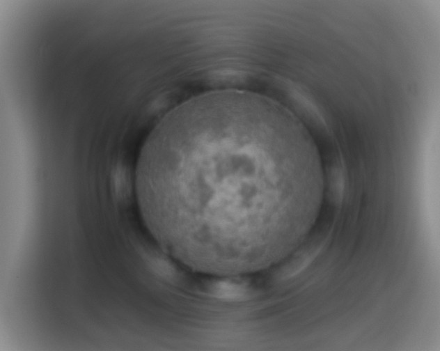 X0000113780232200909301156