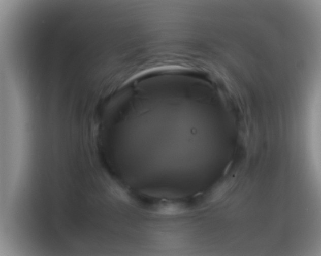 X0000113780235200909301156