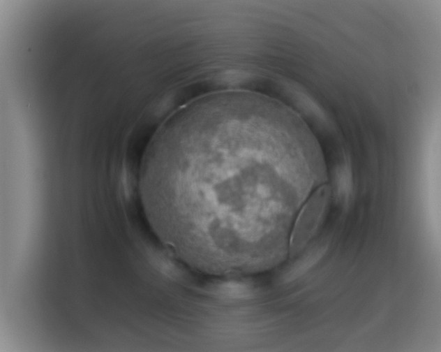 X0000113780236200909301156