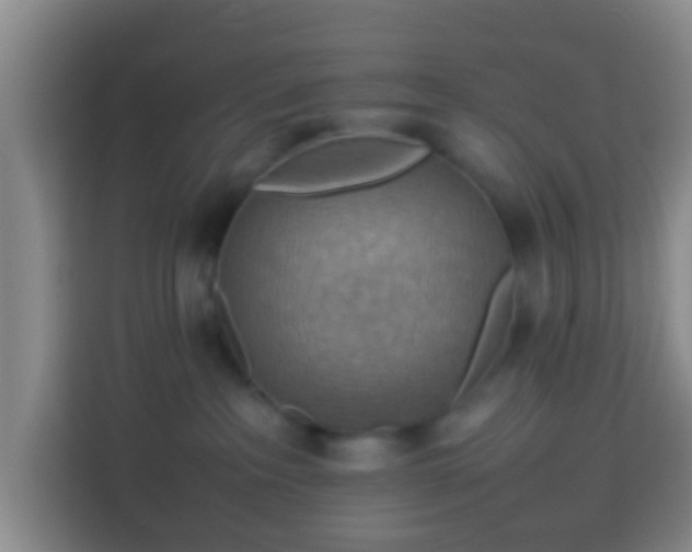 X0000113780237200909301156