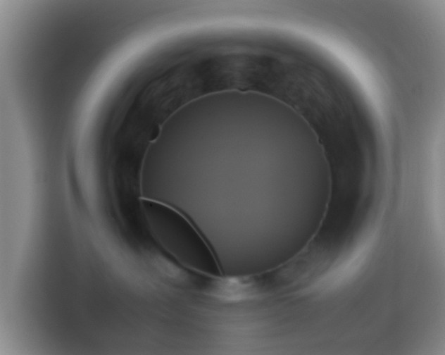 X0000113780239200909301156