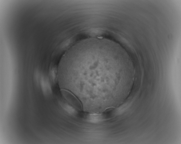 X0000113780240200909301156