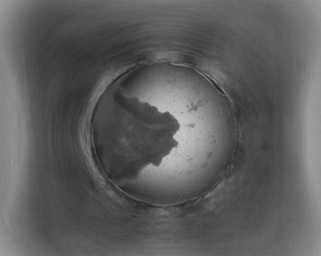 X0000113780241200909301155