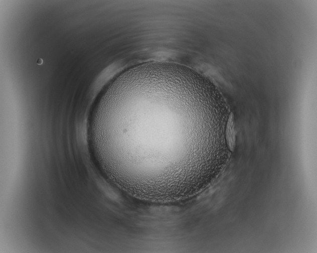 X0000113780242200909301155