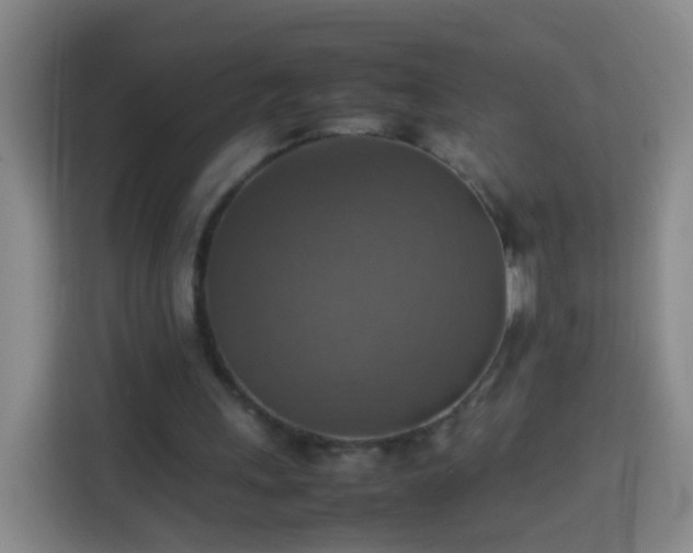 X0000113780243200909301155